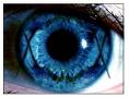 ----> les yeux de HAFALAT <---- mdr :):):-)