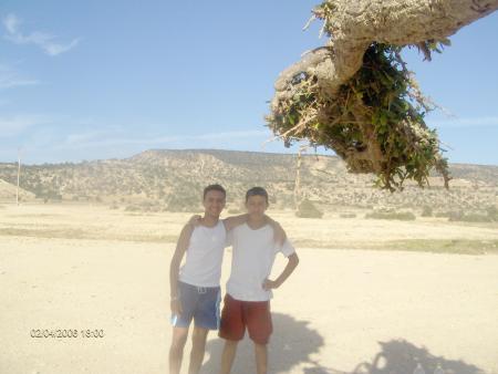 hama9a